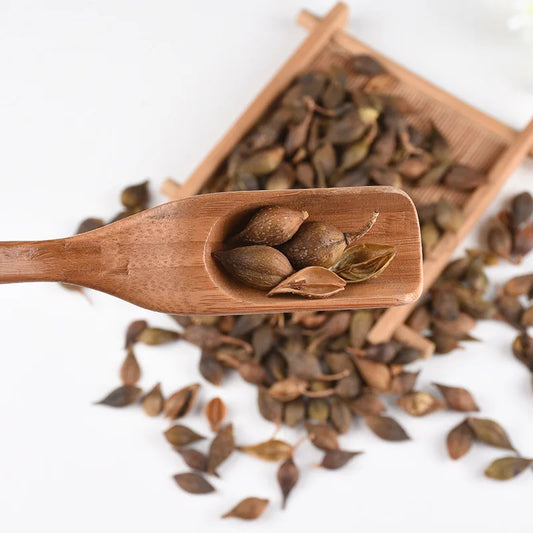 Bei Hufgeschwüren - Lian Qiao (Forsythia)