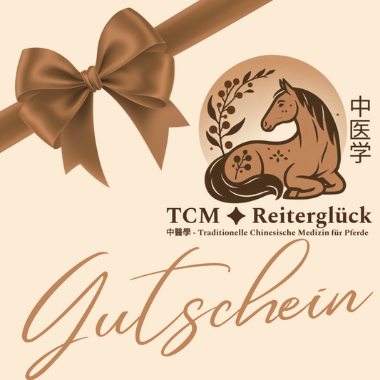 TCM-Reiterglück Gutschein
