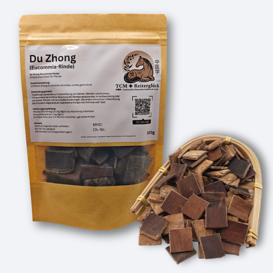Bei Arthrose - Du Zhong (Eucommia-Rinde)