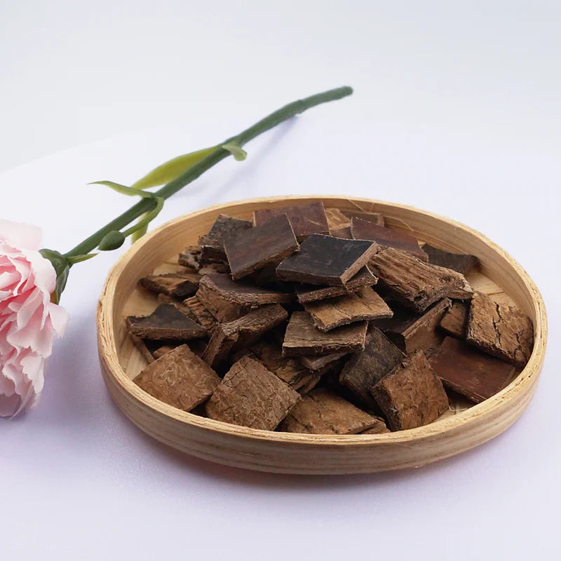 Bei Arthrose - Du Zhong (Eucommia-Rinde)